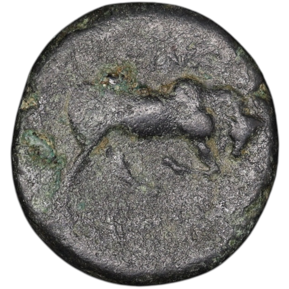 Grèce Antique Syrie Royaume Séleucide Antiochus Ier Soter (280-261 av JC) Unité au taureau cuivre 7.32 gr 19.5 mm