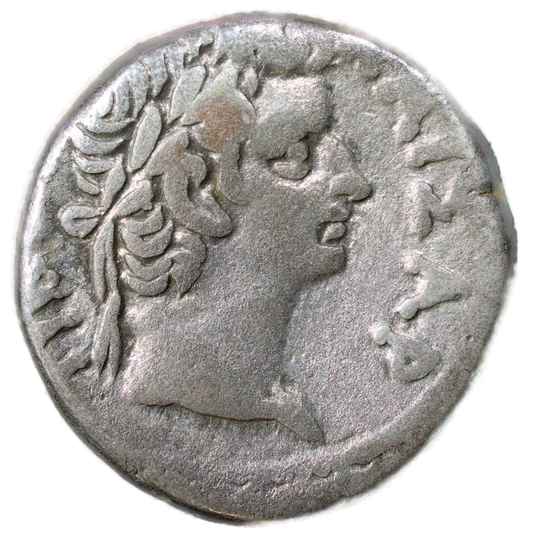 Egypte / Neron et Tibère (59 après JC) Tétradrachme de billon R/ Tête laurée de Tibère 12.66 gr