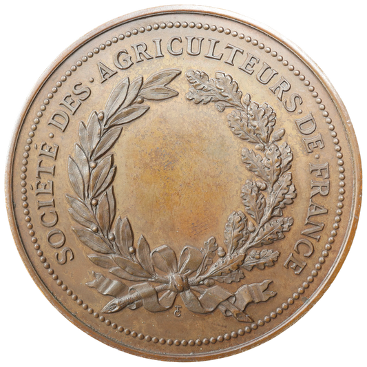 Médaille Société des agriculture de France par C. Trotin 82.29 gr - 55 mm