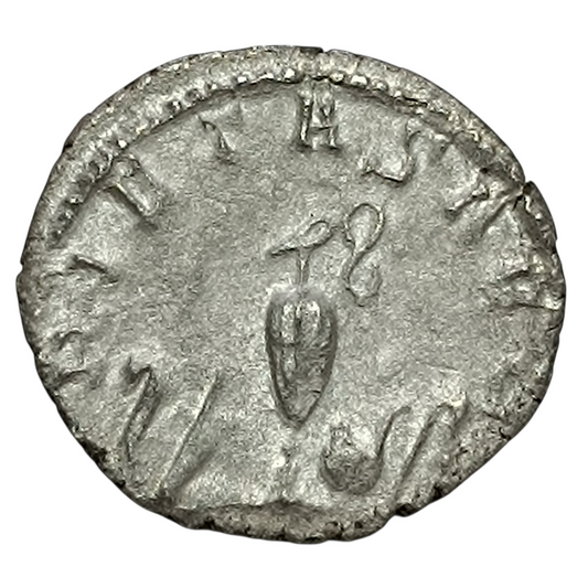 Salonin - Antoninien - Pietas Avgg - 2.34 gr