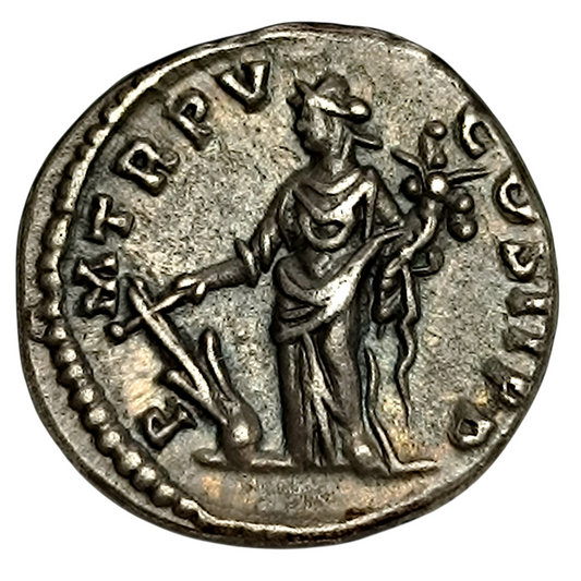 Septime Sévère (193-211) Denier La Fortune 3.52 gr