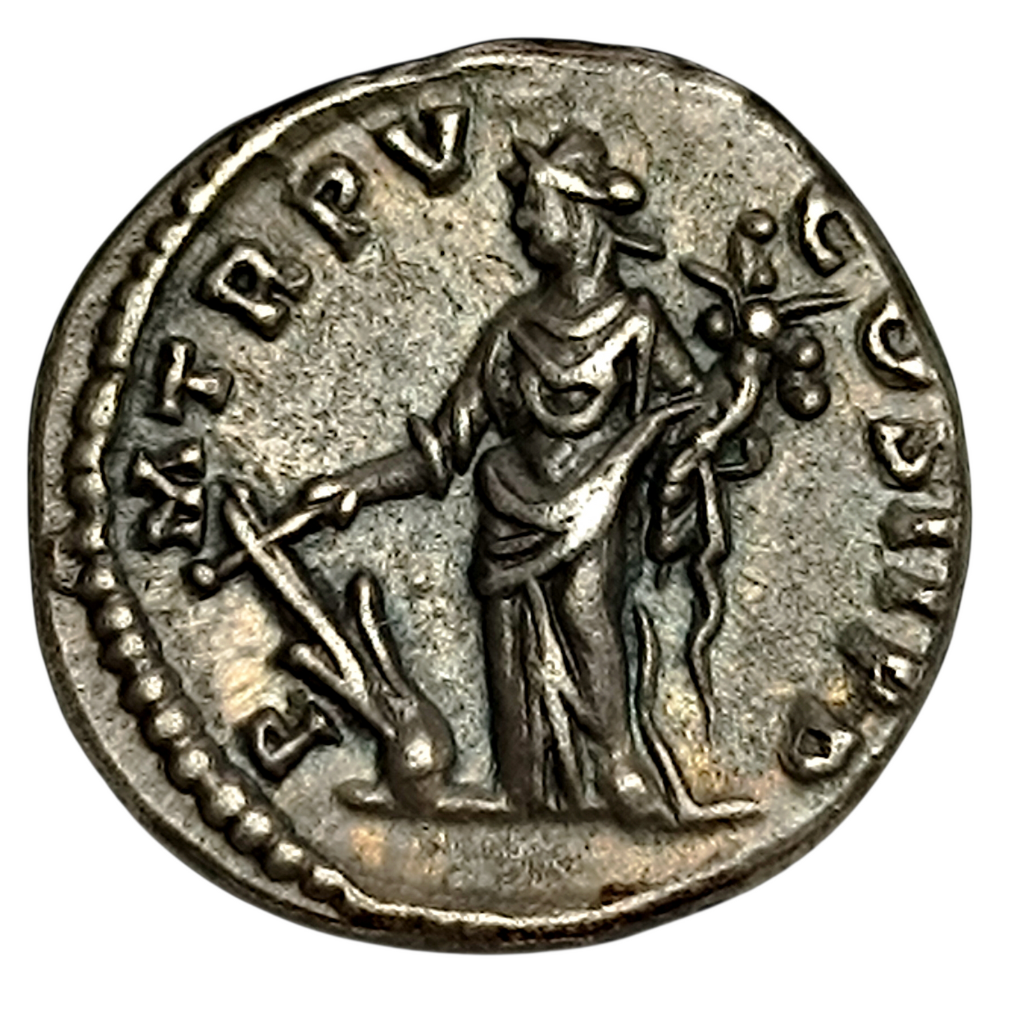 Septime Sévère (193-211) Denier La Fortune 3.52 gr