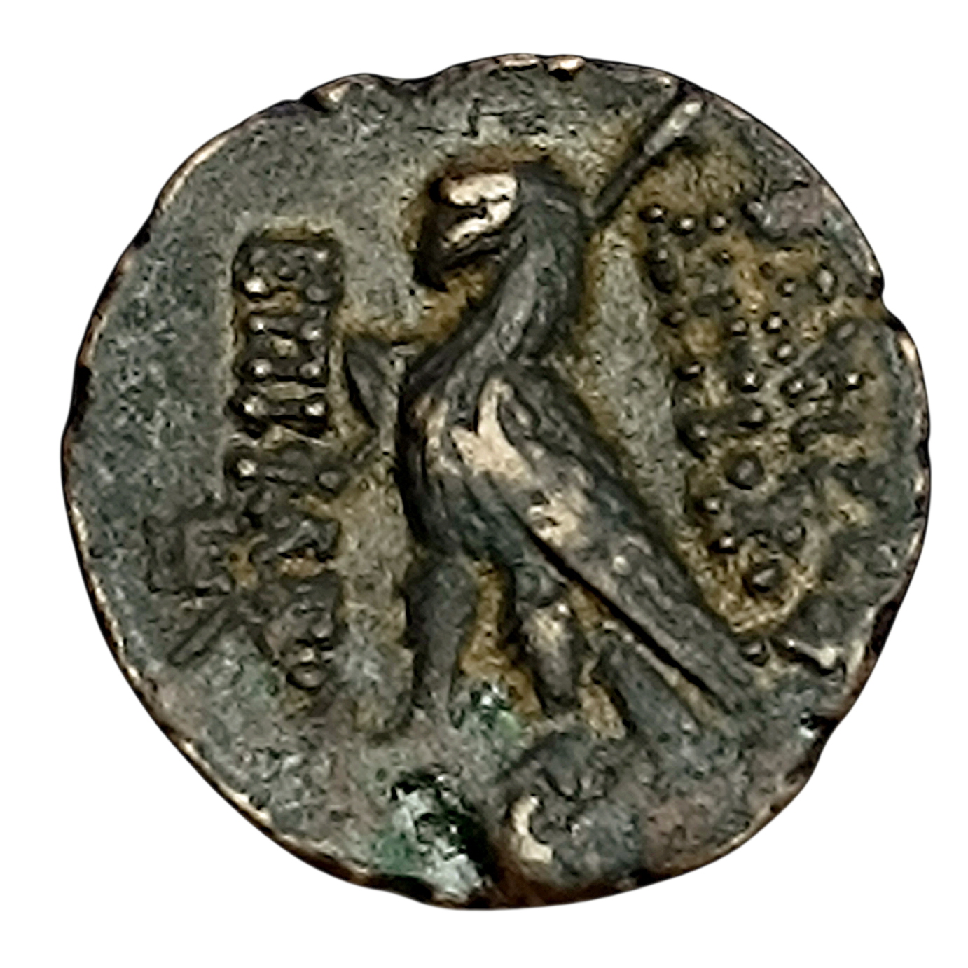 Grèce Antique Syrie Royaume séleucide Antiochus VIII (121-96 av JC) Unité cuivre Antioche 6.77 gr 18.5 mm