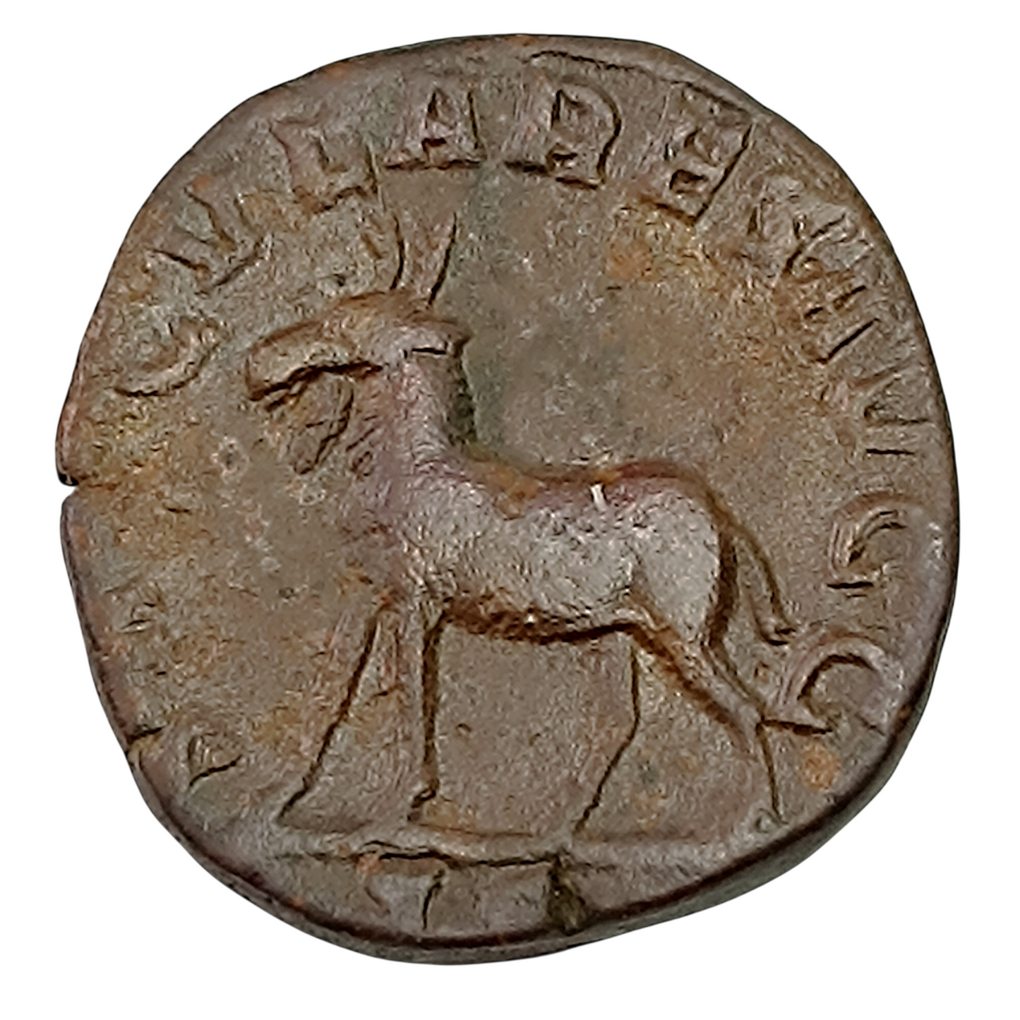 Philippe II (247-249) Sesterce Saeculares Avgg Chèvre 14.38 gr