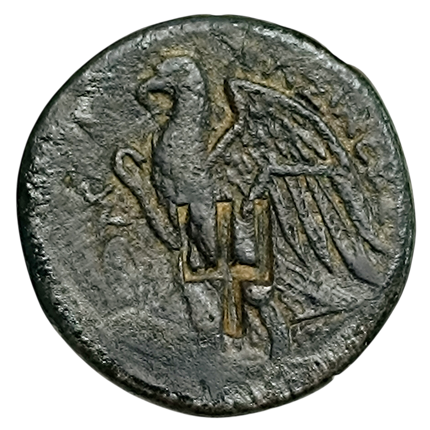 Grèce Antique Egypte Royaume Lagide Ptolémée II Philadelphe Dichalque Bronze Alexandrie 27 mm 17.91 gr