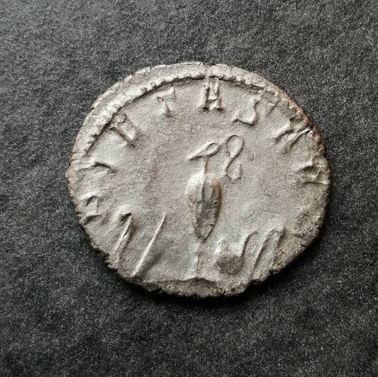 Salonin - Antoninien - Pietas Avgg - 2.34 gr