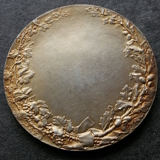 Médaille société des agriculteurs de France Argent 29.23 gr