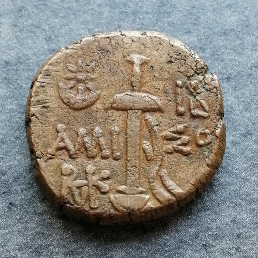 Grèce Antique Pont Amisos Unité Bronze Mithridates VI 8.64 gr 18 mm