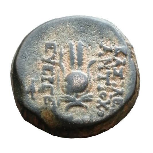 Grèce Antique Syrie Royaume Seleucide Antiochus VII Sidetes Unité Cuivre 175 BC 6.19 gr 18 mm