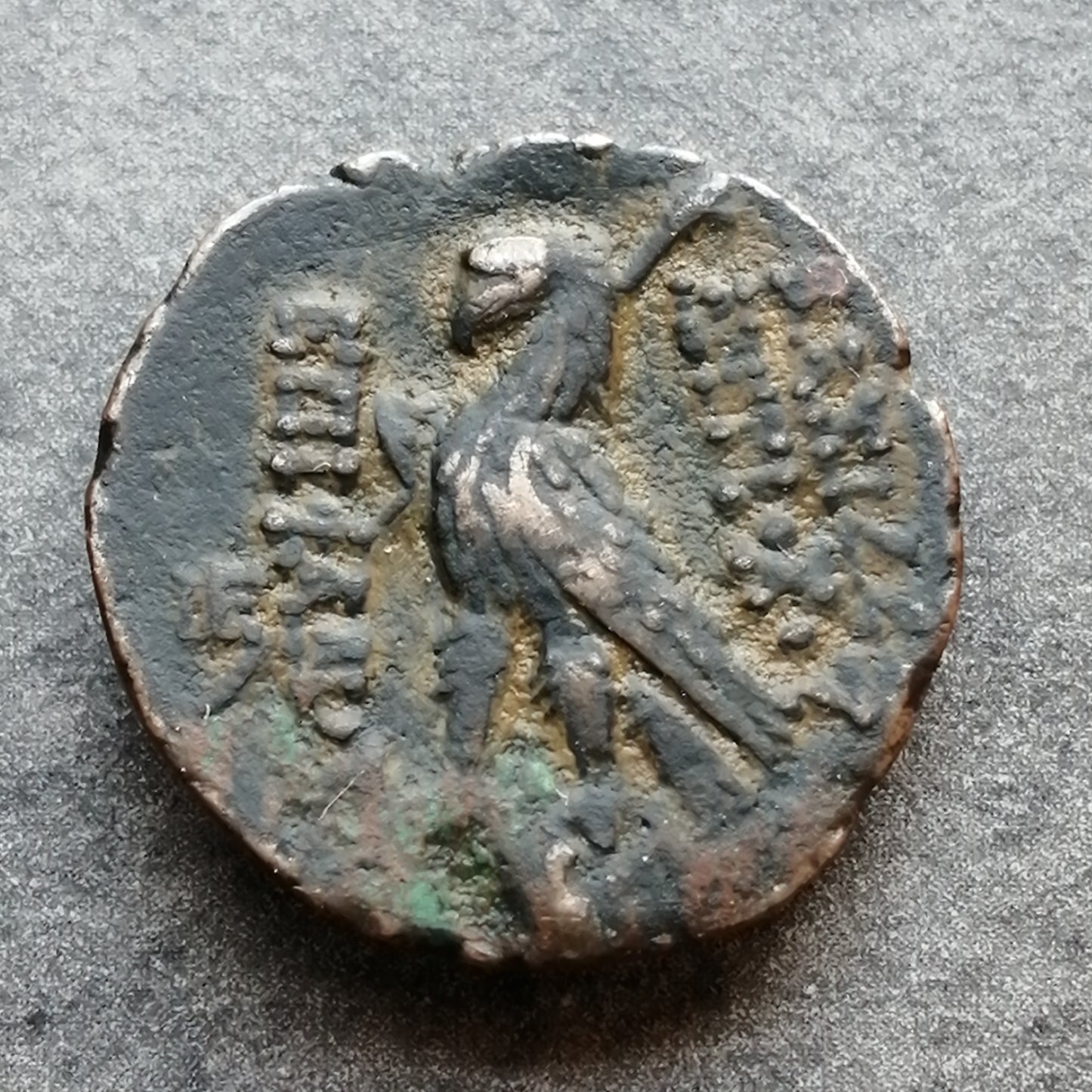 Grèce Antique Syrie Royaume séleucide Antiochus VIII (121-96 av JC) Unité cuivre Antioche 6.77 gr 18.5 mm