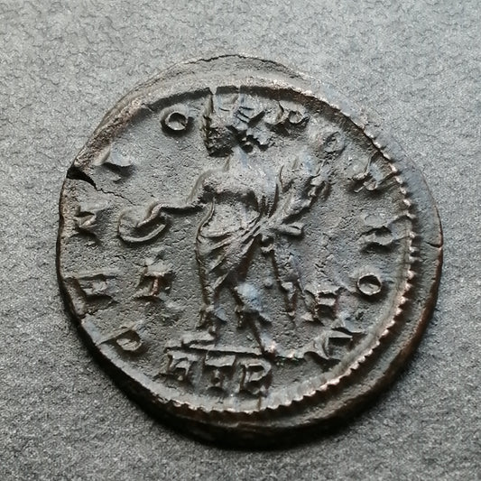 Licinius (308-324) Follis Genio Pop Rom Trêves 3.66 gr 22 mm