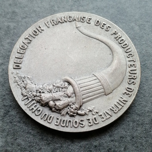 Jeton Délégation Française des Producteurs de Nitrate de Soude du Chili Bronze Argenté 19.07 gr 37 mm