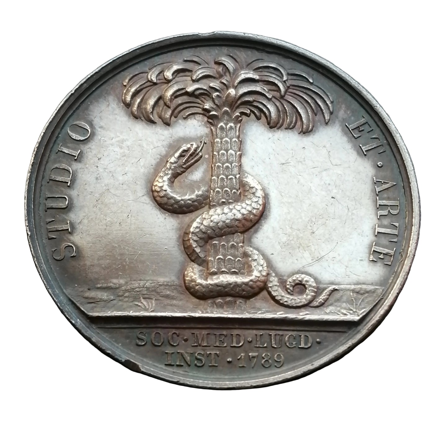Jeton Société de médecine de Lyon 1789 Argent 14.57 gr 29.5 mm