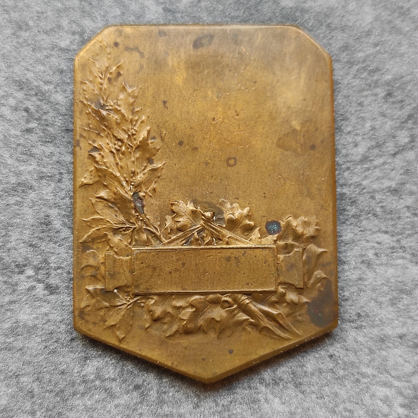 Médaille agricolecole Le Journal L acclimatation Paris 33.61 gr 51x37 mm