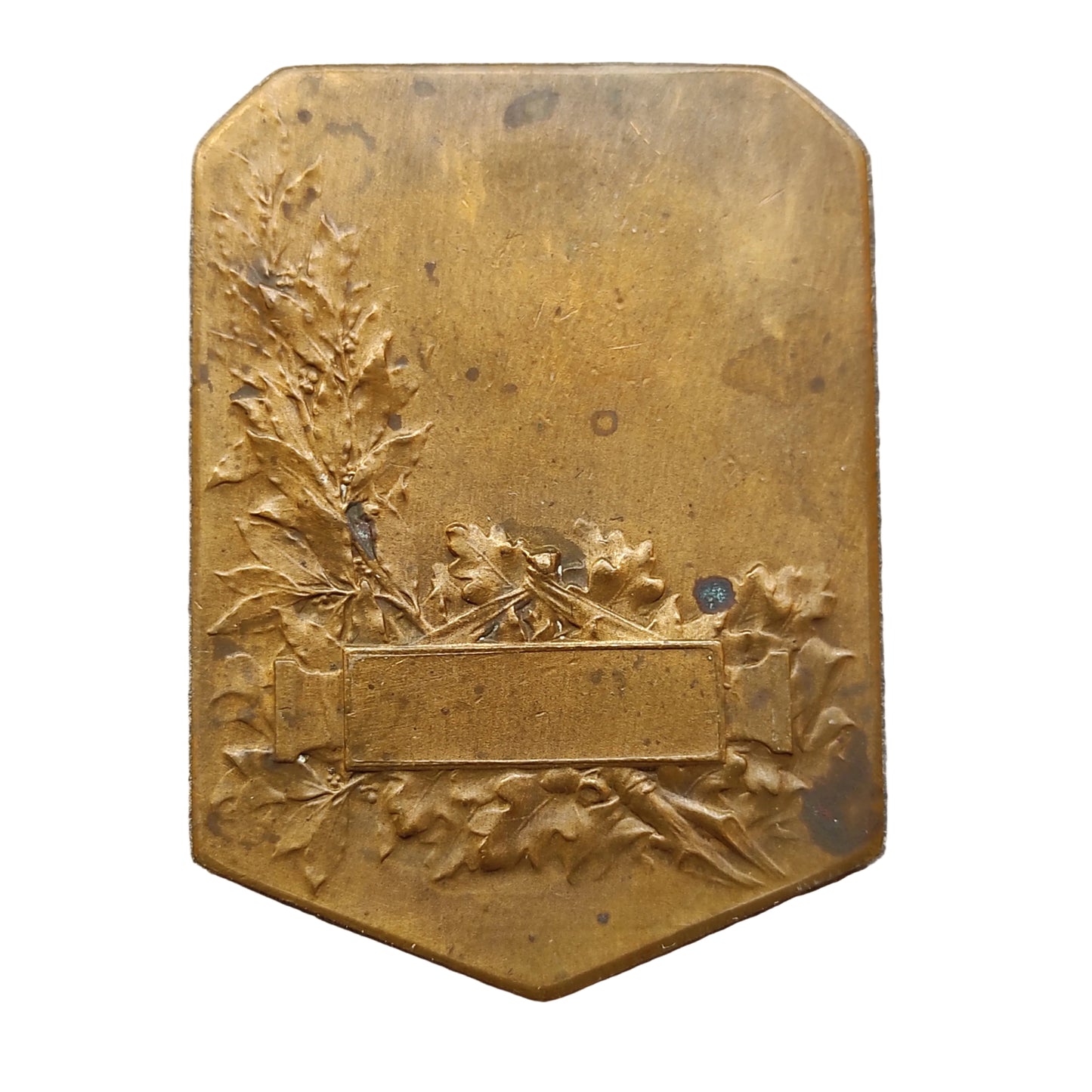 Medalla agrícola y escolar Le Journal L aclimatación Paris 33,61 gr 51x37 mm