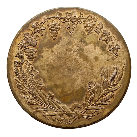 Médaille société d'encouragement à l'agriculture de la Dordogne. 62.40 gr