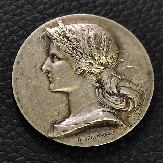 Jeton Argent caisse d'épargne de la Rochelle. 14.22 gr