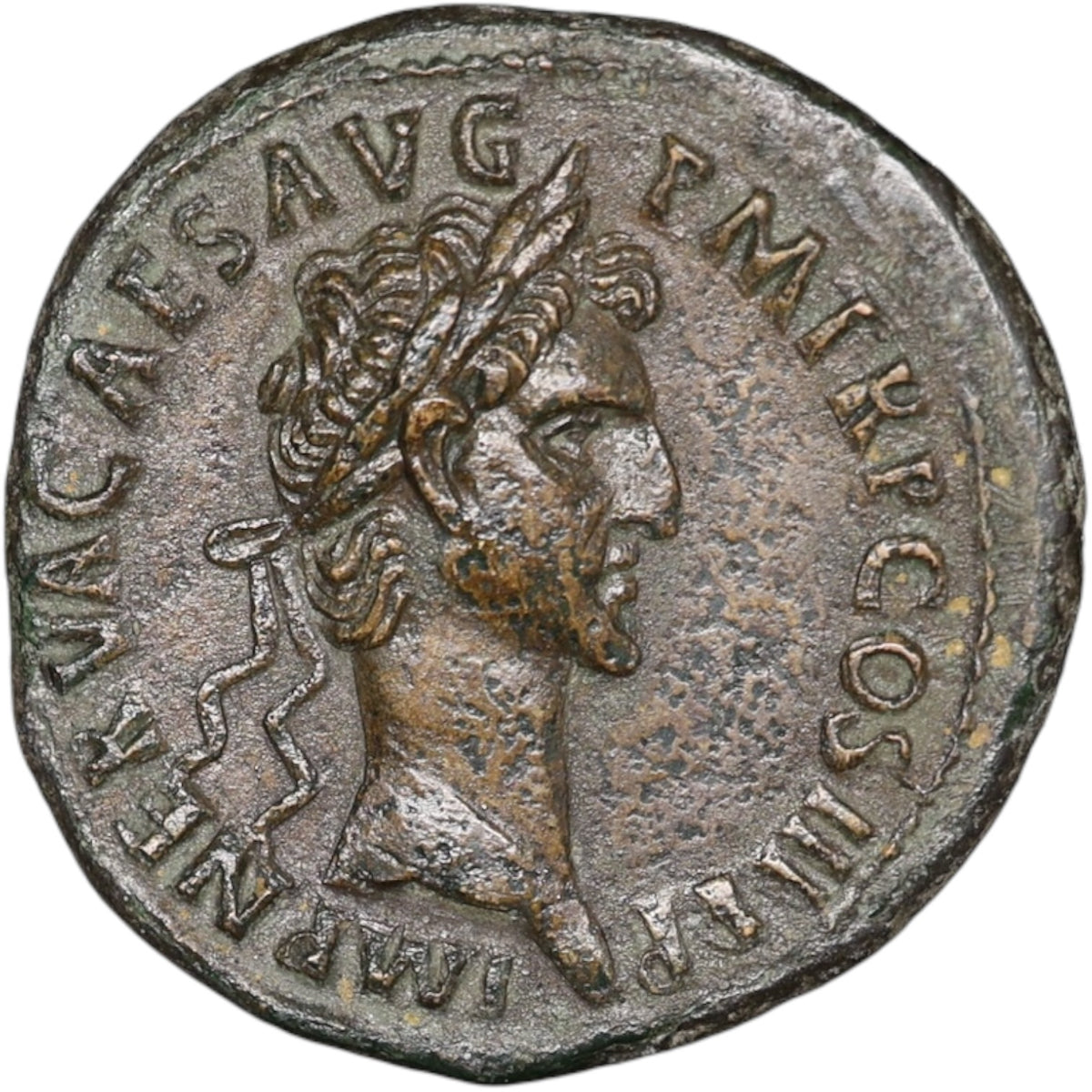 Nerve (96-98) the Concordia exercise 12.18 gr