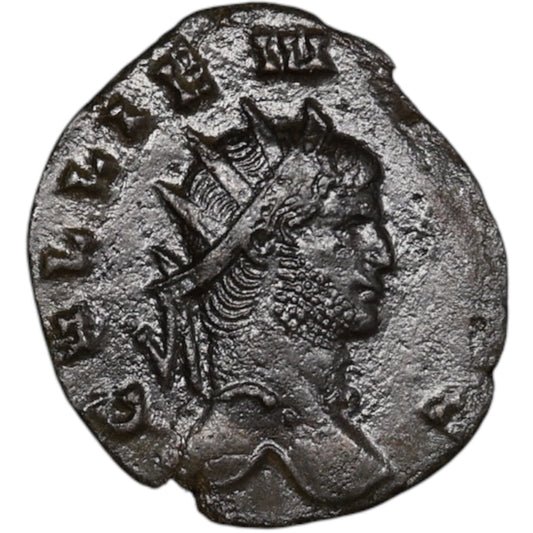 Gallien (253-268) Antoninien Panthère 2.32 gr