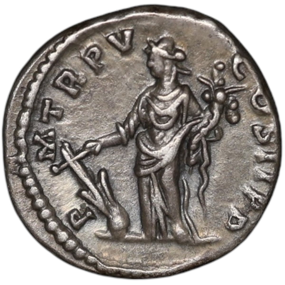 Septime Sévère (193-211) Denier La Fortune 3.52 gr