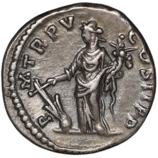 Septime Sévère (193-211) Denier La Fortune 3.52 gr