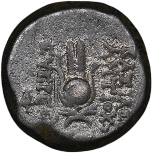 Syria Kingdom Seleucid Antiochus VII Sidetes Copper Unit 175 BC 6.19 GR 18 mm