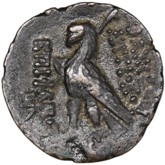Syria Kingdom Seleucid Antiochus VIII (121-96 BC) Antioch copper unit 6.77 GR 18.5 mm