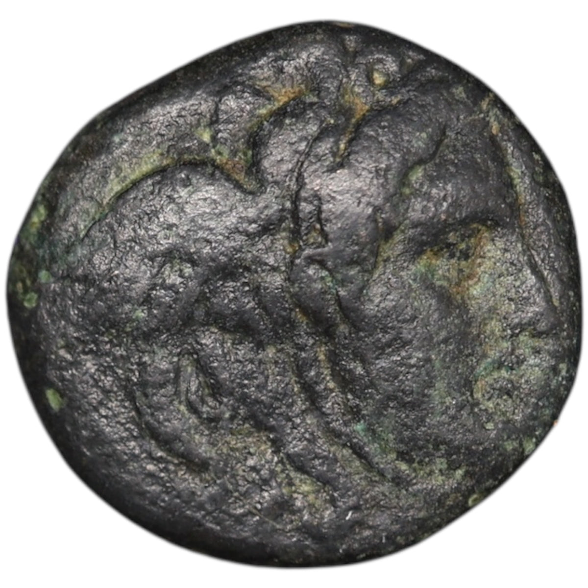 Grèce Antique Syrie Royaume Séleucide Antiochus Ier Soter (280-261 av JC) Unité au taureau cuivre 7.32 gr 19.5 mm