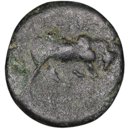 Syria Kingdom Seleucid Antiochus Ier Soter (280-261 AV JC) Unit with copper bull 7.32 gr 19.5 mm