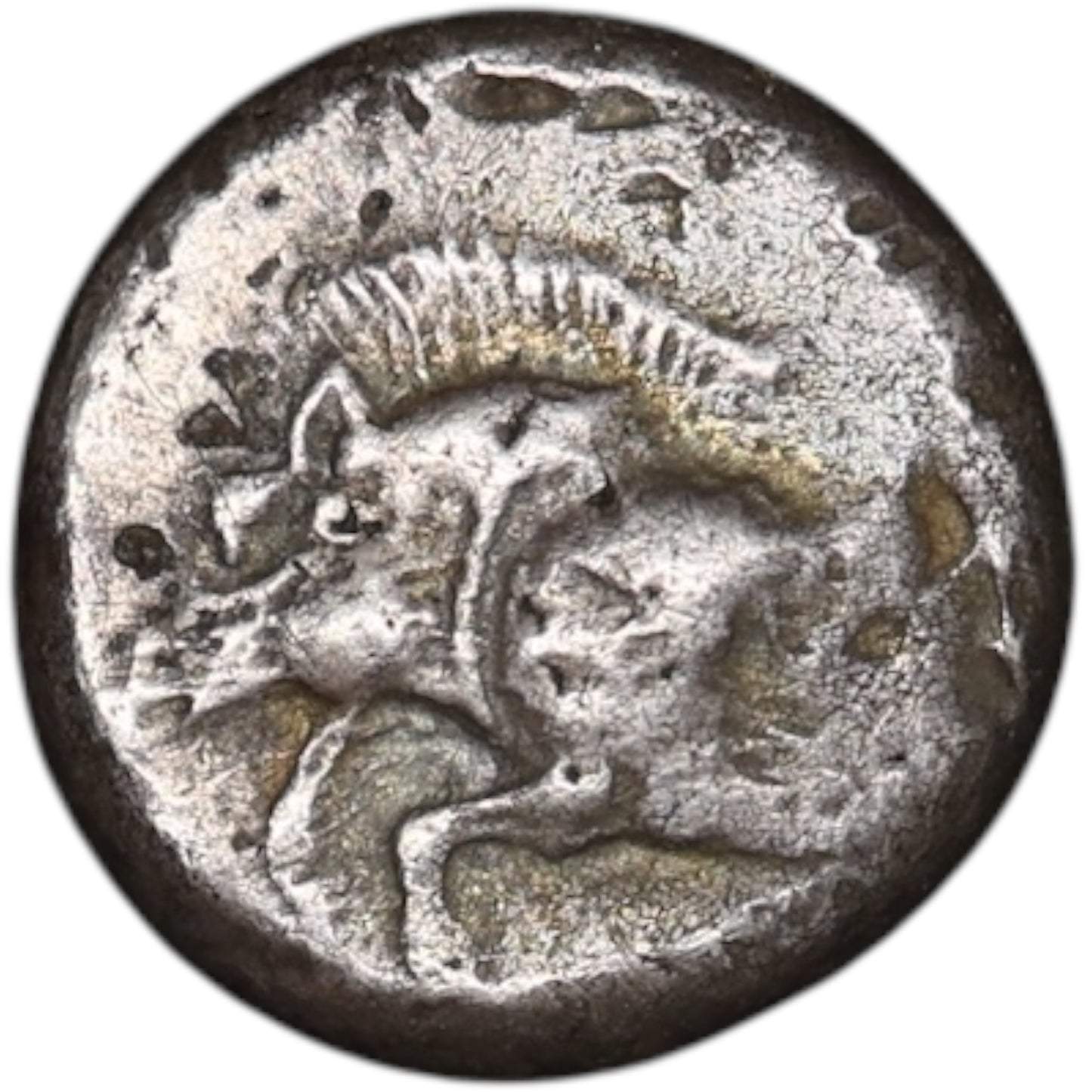 Lycie Potin de sanglier 1/3 de statère Argent 2.93 gr