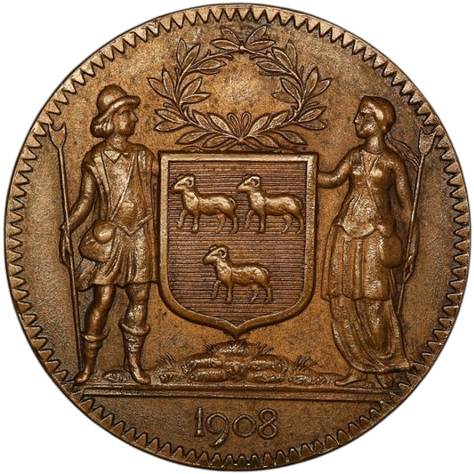 Jeton Bourges Médaille société historique et litteraire fondés en 1849 (CHER) 11.81 gr