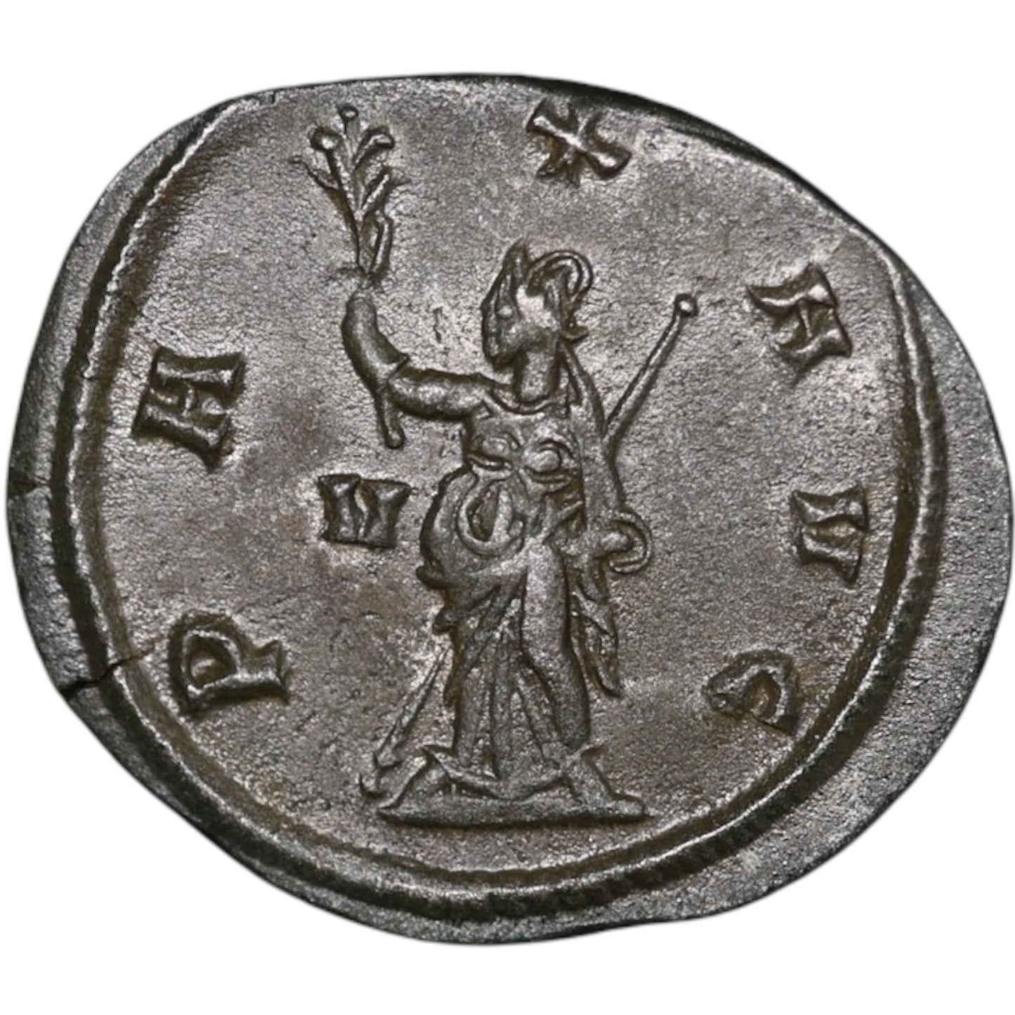 Gallien (253-268) Antoninien Pax Avg  3.08 gr  21.5 mm