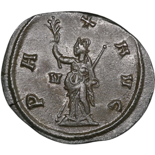 Gallien (253-268) Antoninien Pax Avg  3.08 gr  21.5 mm