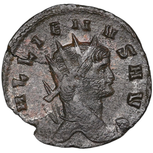Gallas (253-268) Antoninien Apolloni conslently $ vesgaur 2.24 GR 20 mm