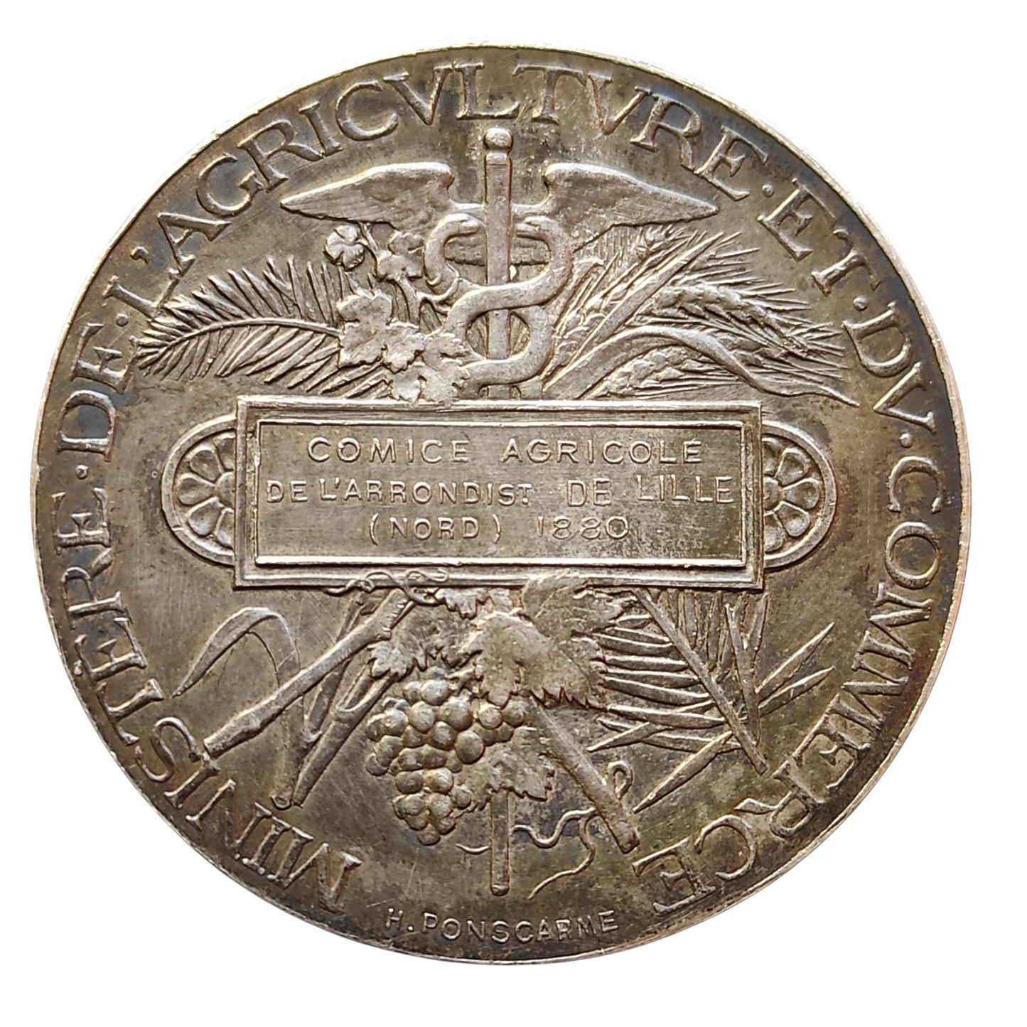 Medalla de plata. Salón Agrícola de Lille 1880. Por Ponscarme. 42 mm 38,5 g