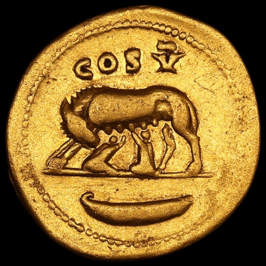 Empire Romain Domitien (81-96) Aureus Or COS V Louve allaitant Romulus et Rémus Rome 7.09 gr