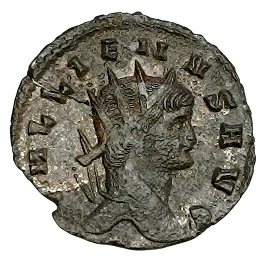 Gallien (253-268) Antoninien Apolloni Cons Avg Centaure 2.24 gr 20 mm