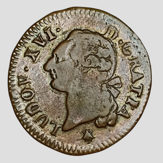 Louis XVI (1774-1792) Sol à l'écu 1785 D Lyon - 11.64 gr