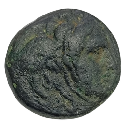 Grèce Antique Syrie Royaume Séleucide Antiochus Ier Soter (280-261 av JC) Unité au taureau cuivre 7.32 gr 19.5 mm