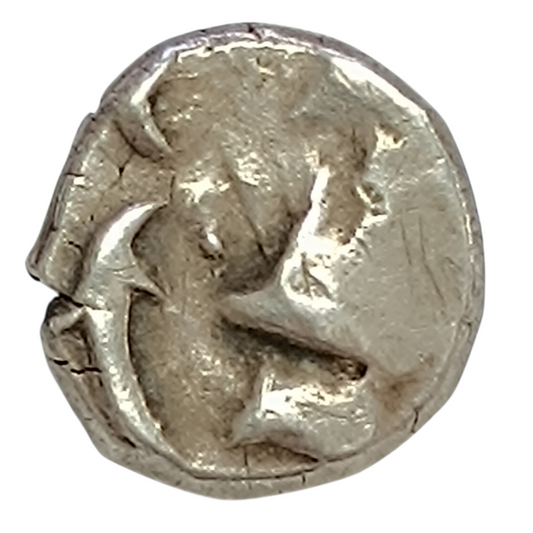 Gaule Volques Tectosages - Drachme à la tête cubiste - Argent 2.76 gr