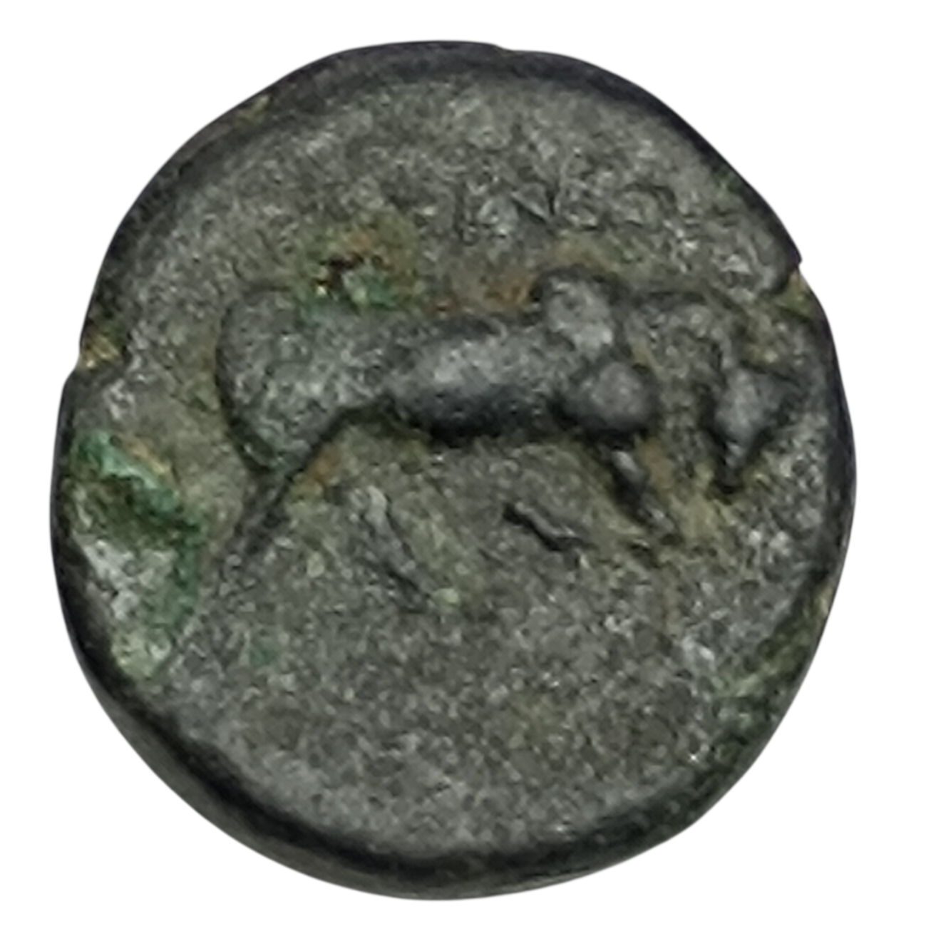 Grèce Antique Syrie Royaume Séleucide Antiochus Ier Soter (280-261 av JC) Unité au taureau cuivre 7.32 gr 19.5 mm