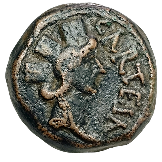 Hispania Baetica Carteia Unité de Bronze 6.59 gr