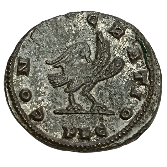 Constance Ier Chlore (305-306) Follis de Lyon (PLC) R/ CONSECRATIO 10.22 gr