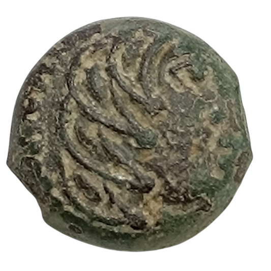 Gaule Sénons ( Région de Sens) Bronze à l'oiseau 3.36 gr