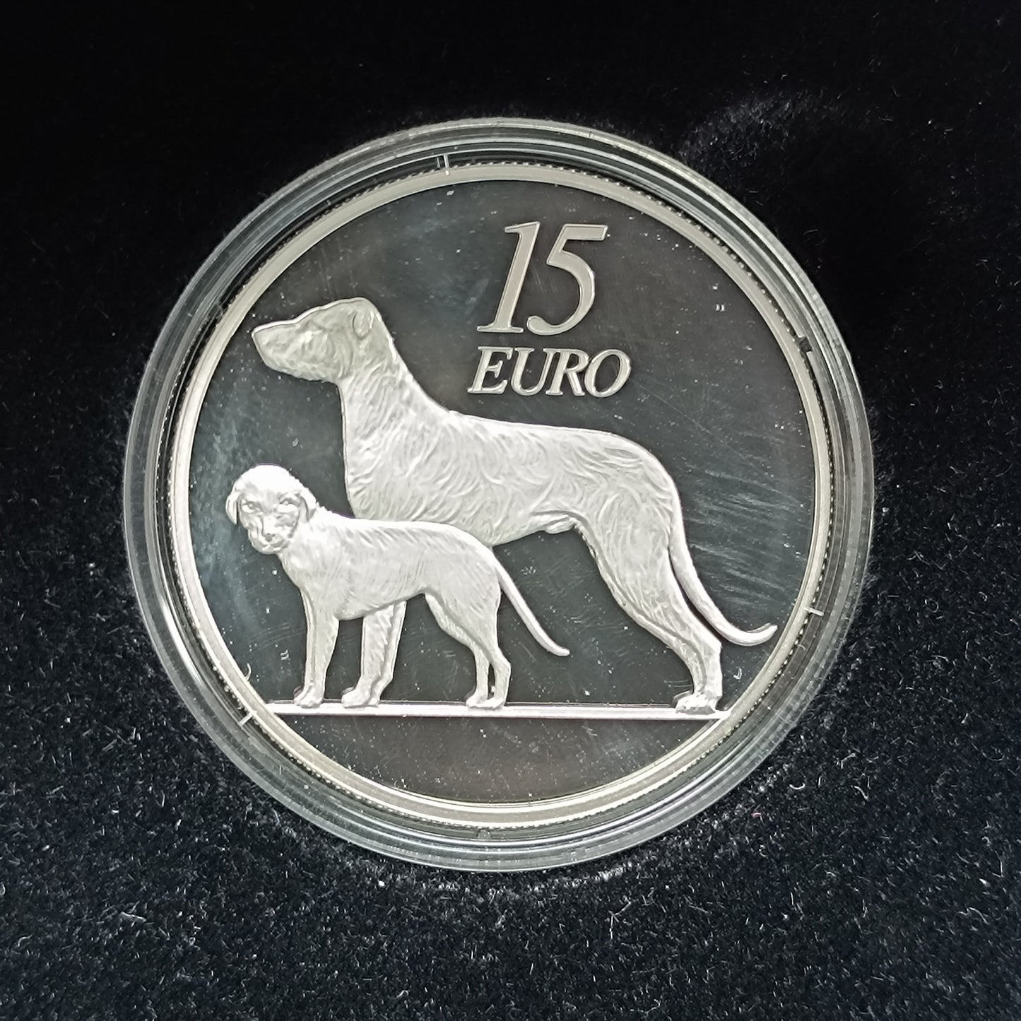 Irlande 15 Euros Chien de chasse  2013 Coffret BE Argent 28.28 gr