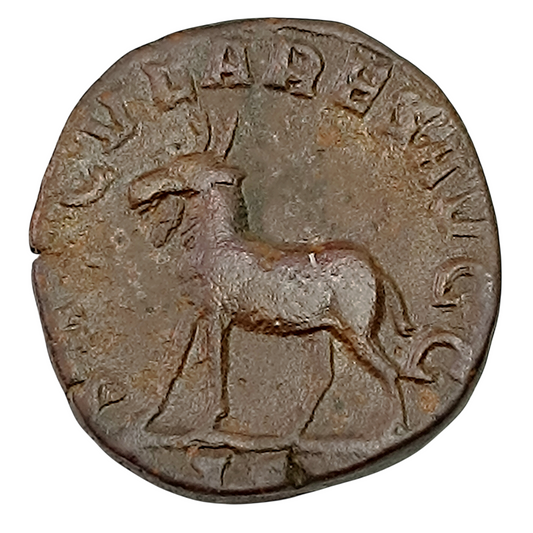 Philippe II (247-249) Sesterce Saeculares Avgg Chèvre 14.38 gr