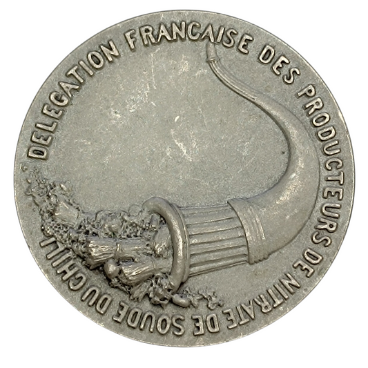 Jeton Délégation Française des Producteurs de Nitrate de Soude du Chili Bronze Argenté 19.07 gr 37 mm