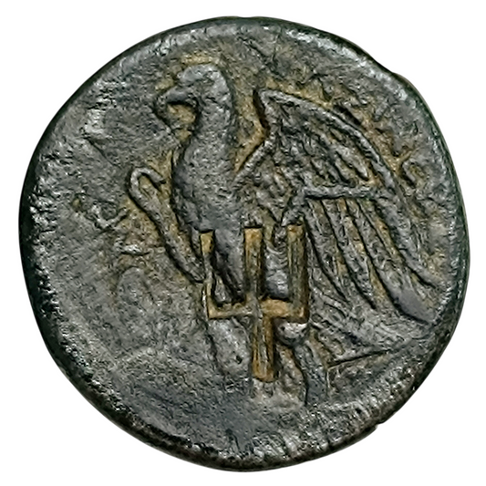 Grèce Antique Egypte Royaume Lagide Ptolémée II Philadelphe Dichalque Bronze Alexandrie 27 mm 17.91 gr