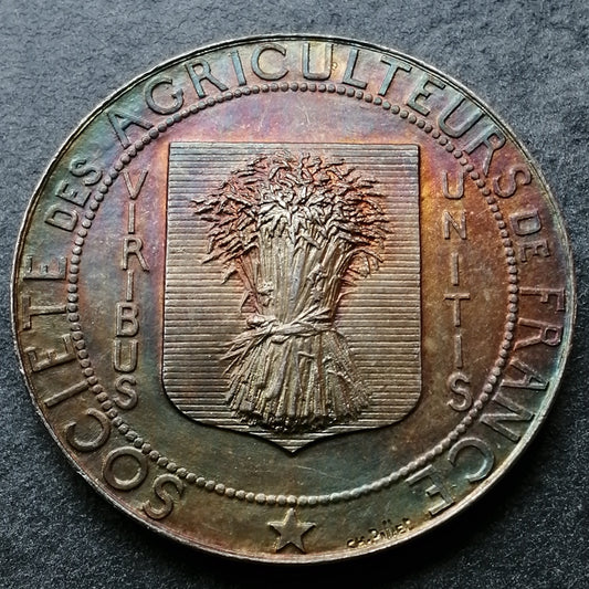 Médaille société des agriculteurs de France Argent 29.23 gr