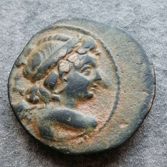 Syrie Royaume Seleucide Antiochus VII Sidetes Unité Cuivre 175 BC 6,19 gr 18 mm